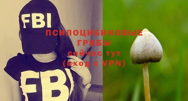 молекула духа Абдулино