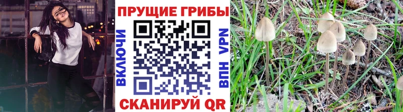 Галлюциногенные грибы Psilocybe  мега вход  Монино 