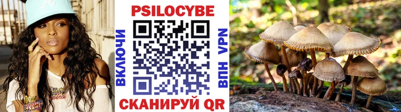 Псилоцибиновые грибы Cubensis Монино
