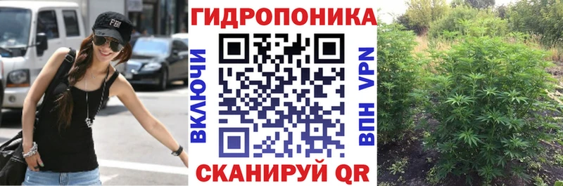 Каннабис MAZAR  сколько стоит  Монино 